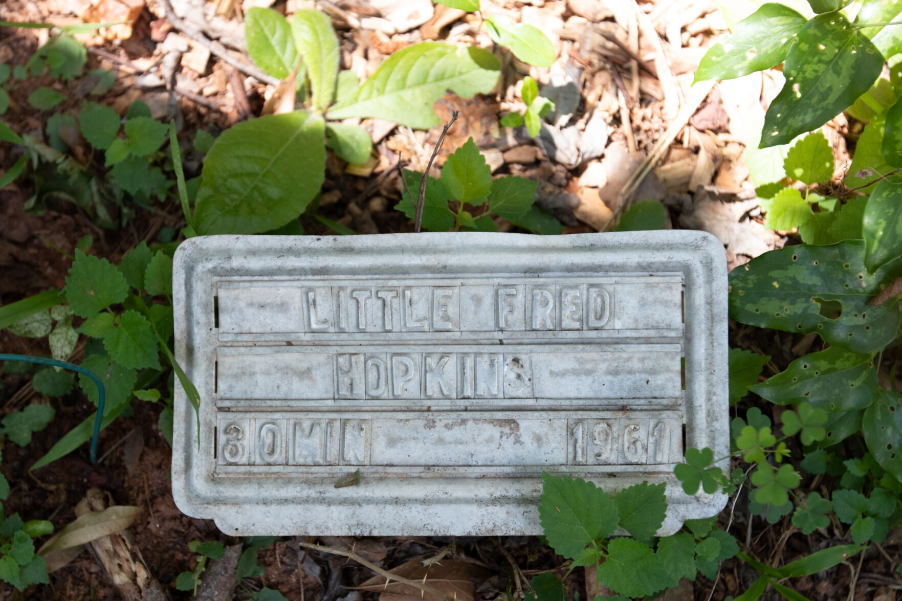 210616_SAW_BrooklynCemetery-8.jpg